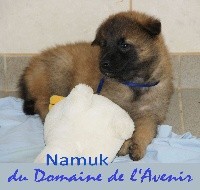 Namuk