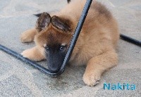 Nakita