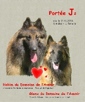 CHIOT
